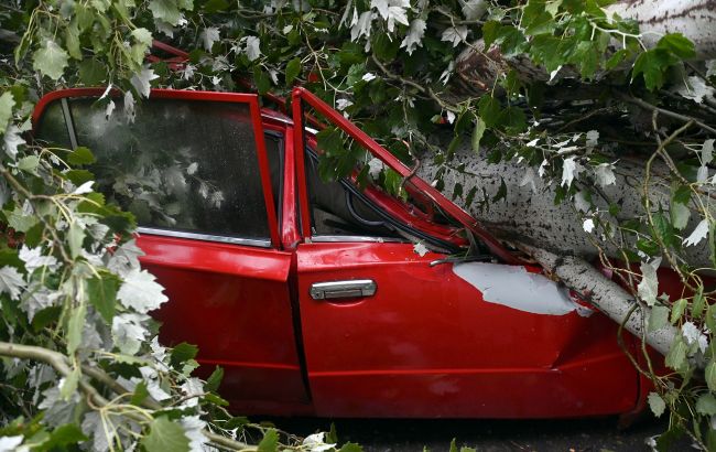 Негода у Києві повалила дерева, затопила вулиці й переходи (фото, відео)