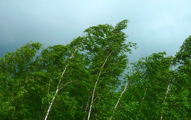 На Германию обрушился ураган "Ксавьер", погибли 7 человек