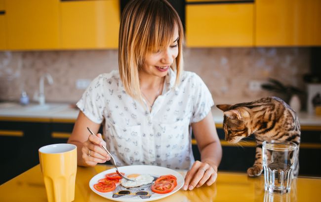 Чим категорично не можна годувати котів: можуть бути проблеми зі здоров'ям