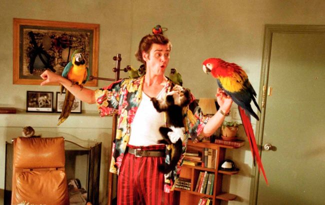 Переживуть вас і ваших дітей. Ці домашні тварини живуть найдовше (фото)