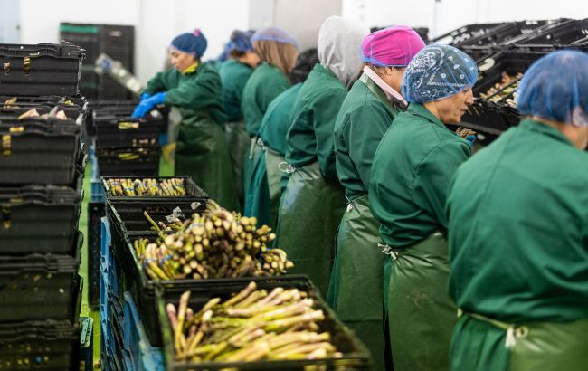 Ефект "мінімалки" і звільнення: що насправді відбувається із зарплатами в Польщі