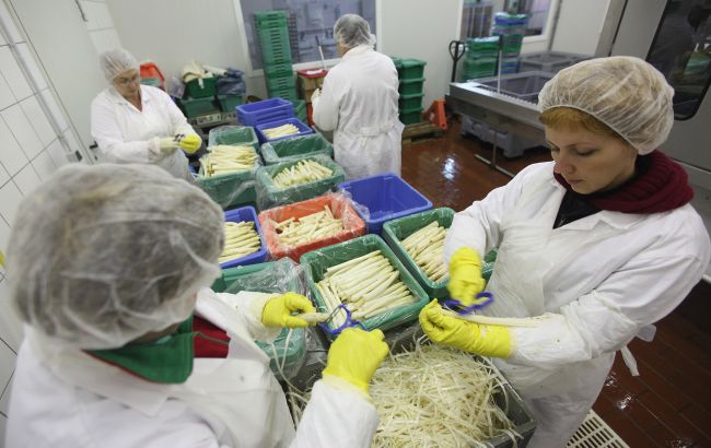 Робота в Німеччині: на які вакансії шукають українців і скільки можна заробити