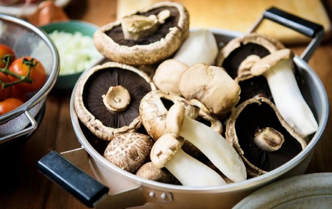 Сушити чи маринувати: як правильно зберігати різні гриби