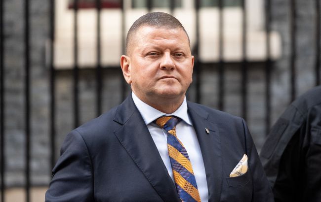 Фальстарт, эмоции или самозащита? Что стоит за резонансными заявлениями Залужного