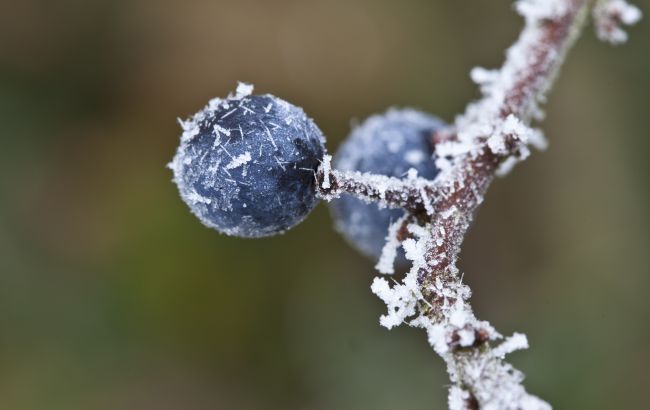 От заморозков до +21. Синоптики рассказали о погодных "качелях" сегодня (карта)