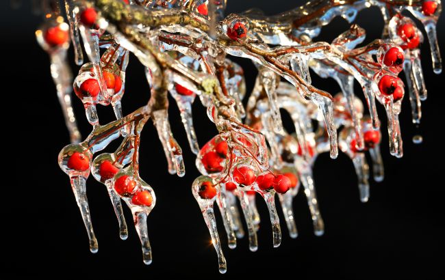 Зима наближається? Синоптики дали прогноз на новий робочий тиждень в Україні