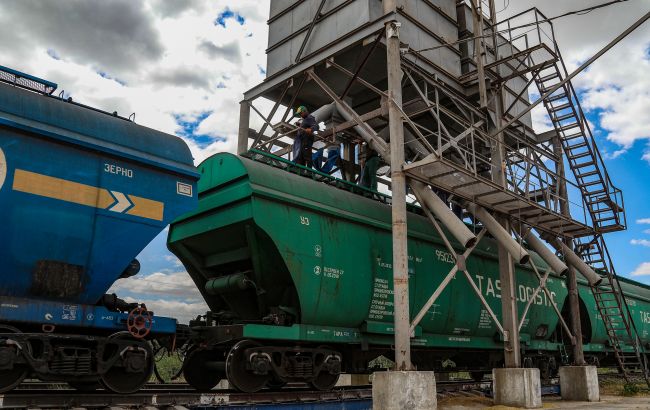 Перевозки зерна упали до минимума за 10 лет: почему УЗ теряет грузовую базу