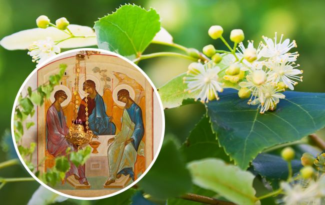 Зеленые праздники 2023: все традиции, обряды и что делать нельзя