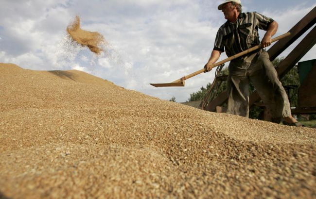 Экспорт украинской агропродукции в ЕС вырос на 68 миллионов долларов