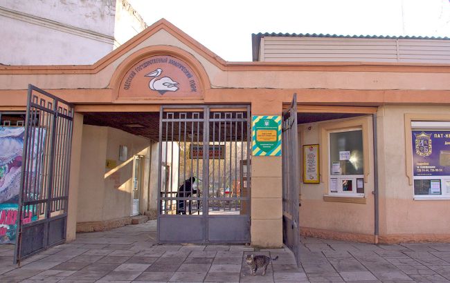 Одеський зоопарк приймає домашніх тварин, власники яких змушені їхати з дому через вторгнення РФ