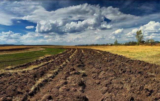 Стоимость аренды госземель на торгах в 2017 году выросла до рекордной, - Госгеокадастр