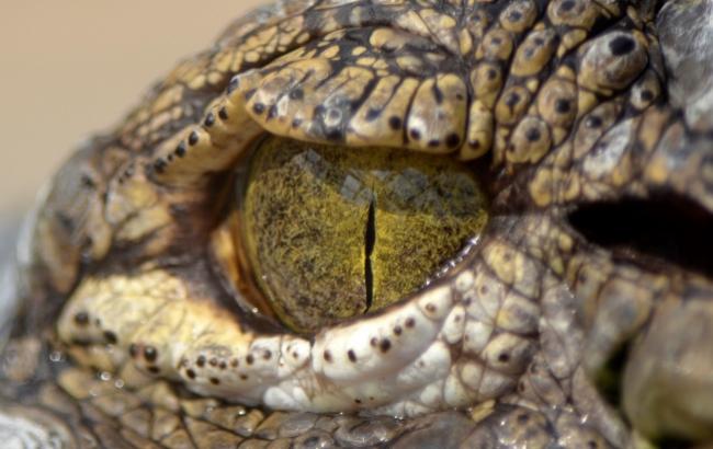 Гороскоп на сегодня, 4 декабря