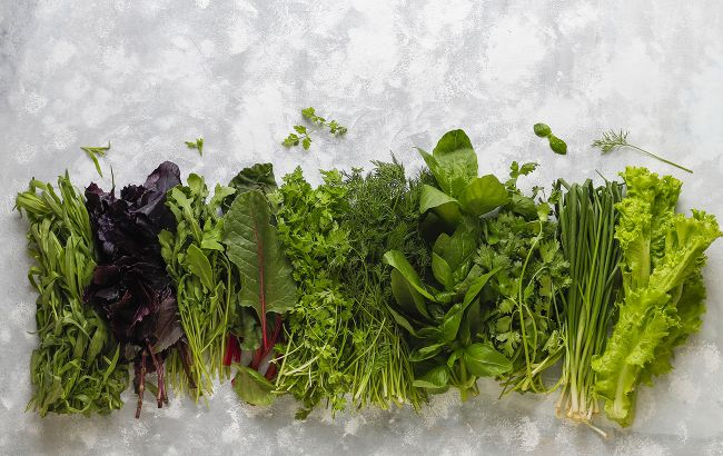 Вкусная руккола: чем она полезна и кому категорически запрещена