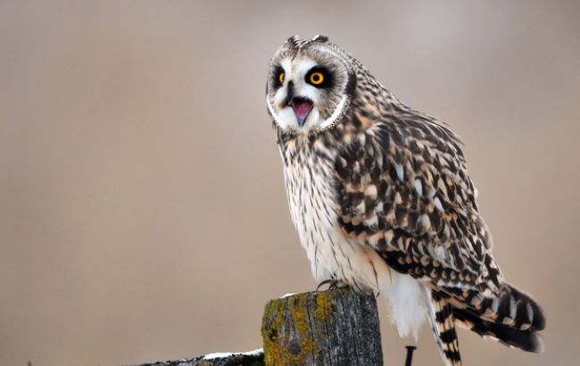 Погода на сьогодні: в Україні без опадів, температура до +16