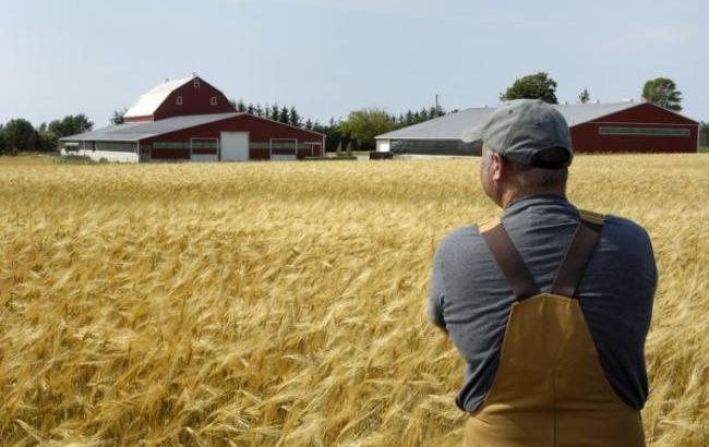 УКАБ: Казначейство повернуло ПДВ зі спецрахунків не всім аграріям