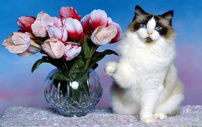 Гороскоп на сегодня, 8 марта