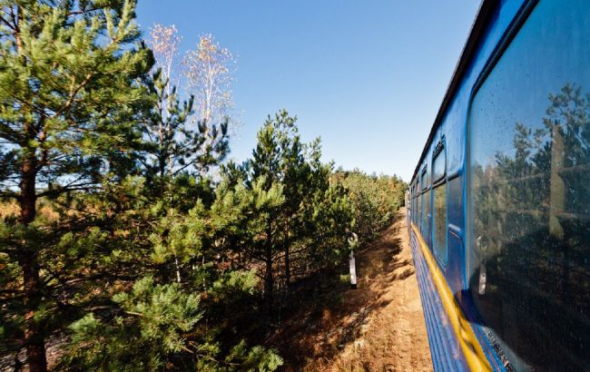 Родзинка Полісся. Чи відродять унікальну вузькоколійку на Рівненщині