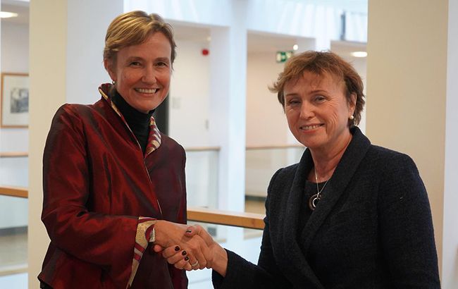 Германия внесет 1 млн евро в план действий СЕ для Украины