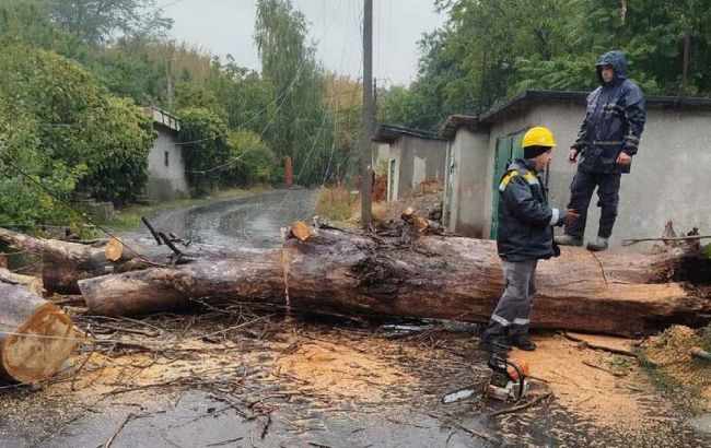 Негода залишила частину Одещини без світла, найскладніша ситуація - в Одесі