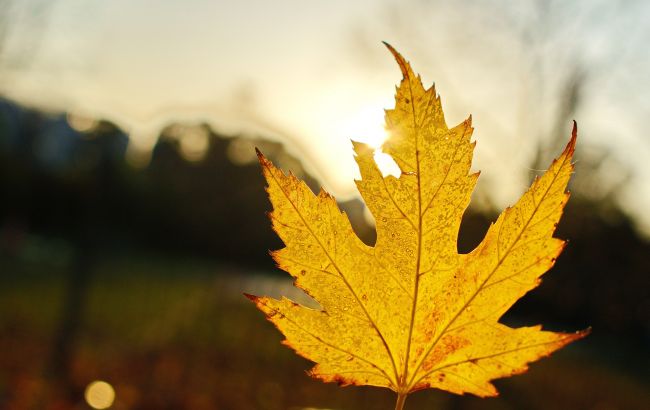 День осеннего равноденствия 2023. Когда наступит и что нужно успеть сделать