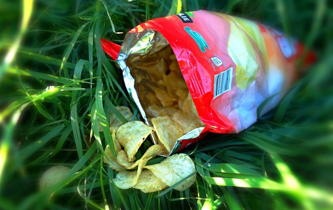 Ученые придумали, как побороть изменения климата с помощью пива и чипсов