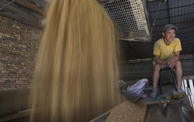 В Украине отпускные цены на соевый шрот увеличились на 200-500 грн/т - до 8 тыс. грн/т