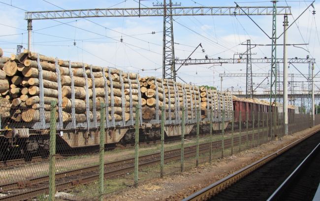 Суд конфисковал первые 2 вагона с лесом, которые "застряли" на Закарпатье