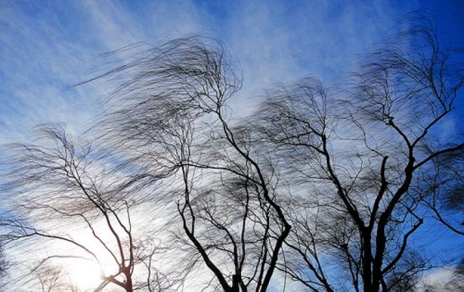 ДСНС попереджає про сильні пориви вітру на півдні та сході України