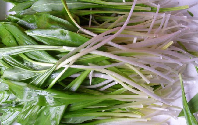 Весняний український суперфуд, який треба їсти всім: коштує всього 20 гривень