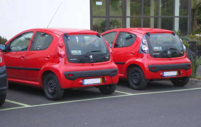 Брати-близнюки: що таке бейджінжиніринг у світі авто