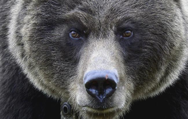 Гороскоп на сегодня, 4 января