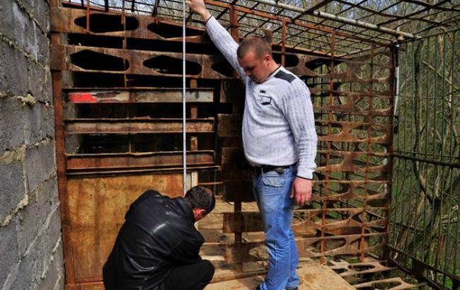 Из питомника во Львовской области исчезли медведи