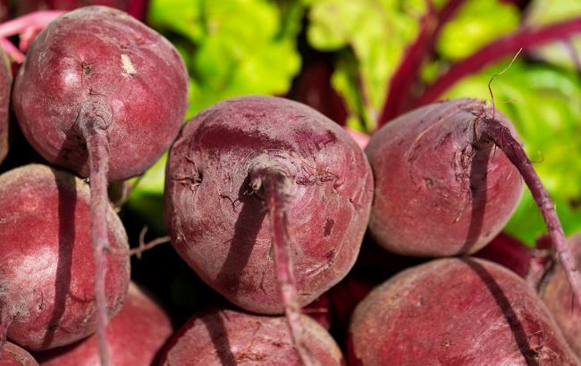 Чому буряк виростає несолодким, і як це змінити вже восени