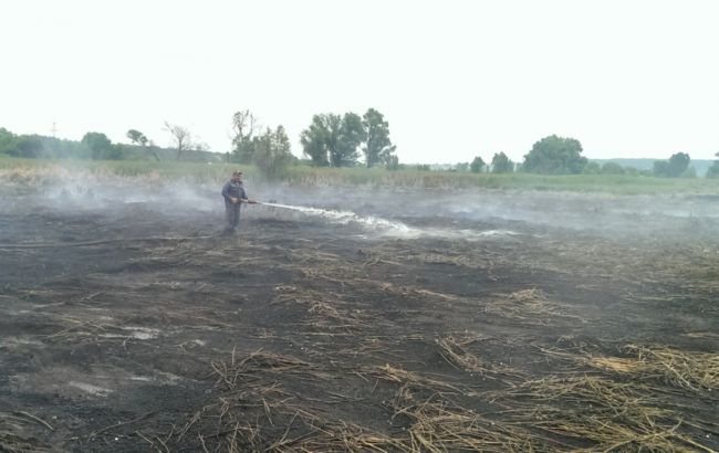 В Киевской области горят торфяники