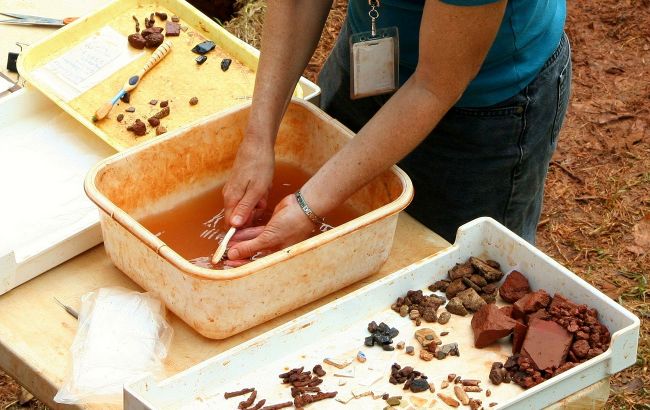 Археологи разгадали тайну английской колонии в США: она исчезла сотни лет назад