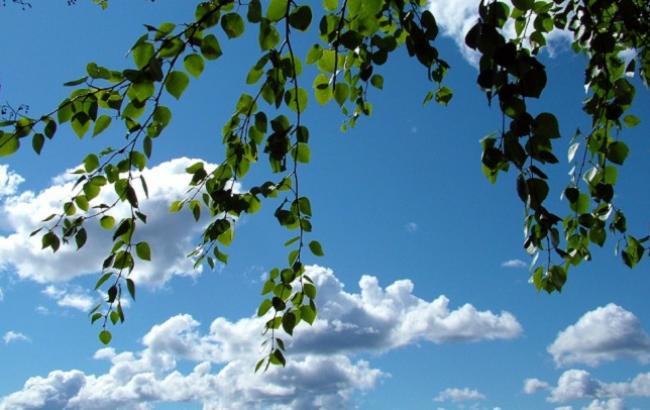 Трійця 2017: прикмети і звичаї