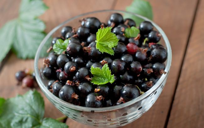 7 несподіваних ефектів смородини на здоров'я, про які ви навіть не здогадувались