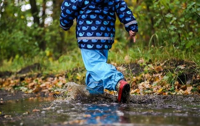 Затянет сильными дождями и похолодает: каким областям не повезет с погодой