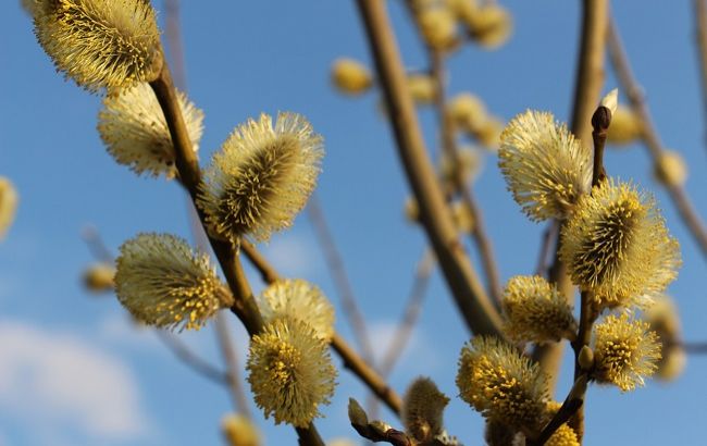 Синоптики пугают украинцев апрельским снегом