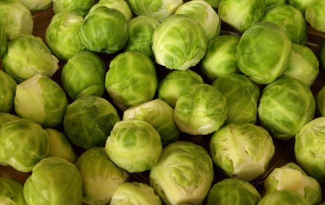 Не запізніться: коли оптимально сіяти брюссельську капусту на розсаду
