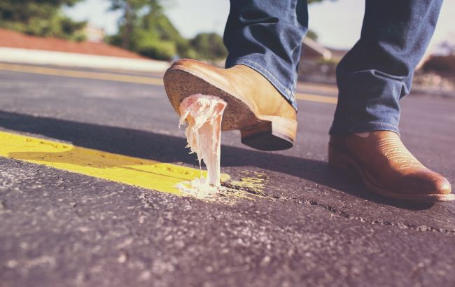 В Днепре будут штрафовать за выброшенный в неположенных местах мусор