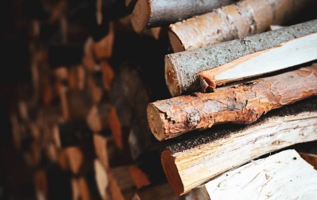 Дрова подорожчали на 20% перед зимою: скільки коштують та які є альтернативи