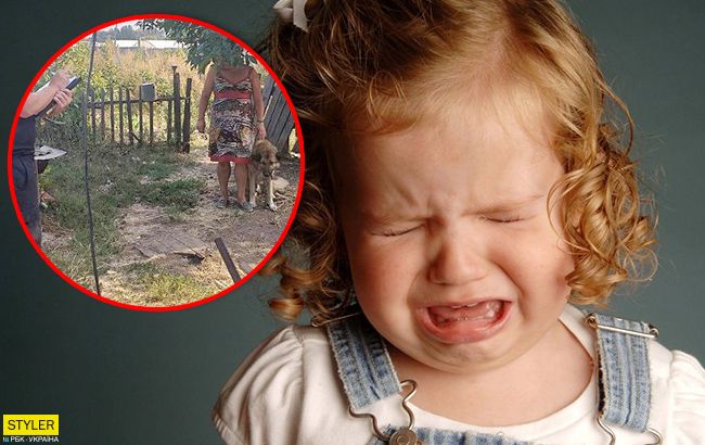 Под Харьковом сторожевой пес бросился на трехлетнюю девочку: родные не успели