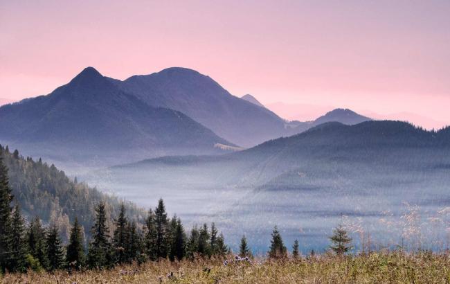 Участок Януковича в резиденции "Синегора" вернули государству