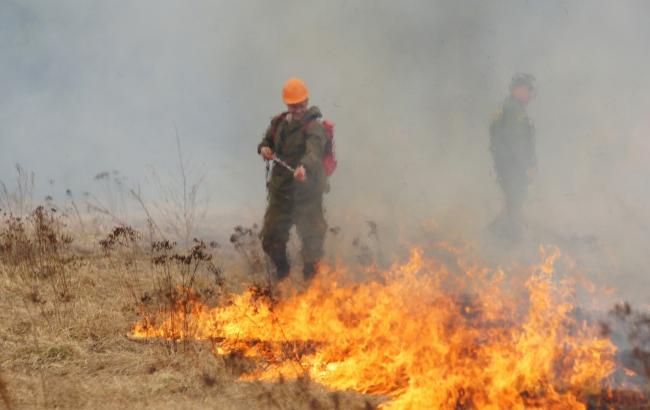 Из-за пожаров в Хакасии погибли не менее 15 человек
