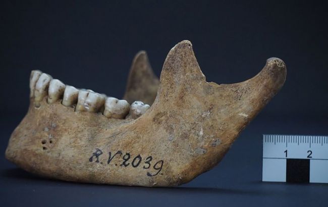 В Латвии нашли "нулевого пациента" древнейшего штамма чумы