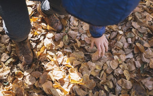 Не поспішайте з граблями: експерти пояснили, чому опале листя може бути корисним для саду