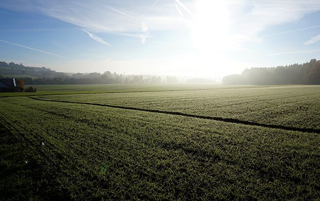 В Україні розпочався посів озимих культур