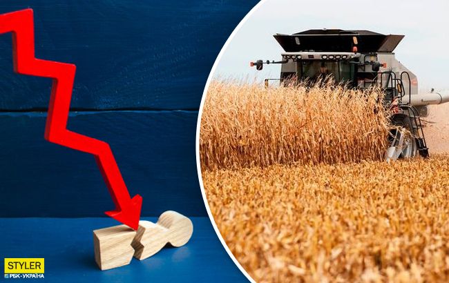 Экономисты рассказали, грозит ли Украине голод из-за мирового кризиса