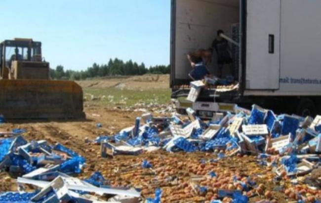 В РФ за ввоз санкционных продуктов предлагают ввести уголовную ответственность